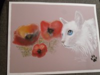 /album/chats/photo-1777-jpg/